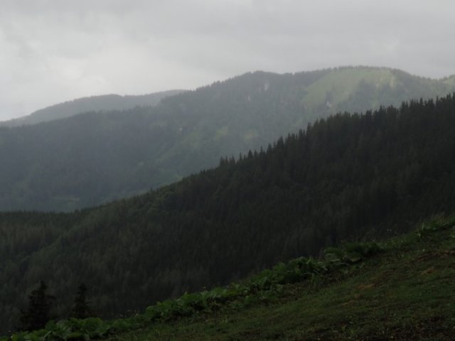 201907 - Abwurfstangenschau Rauschalm
